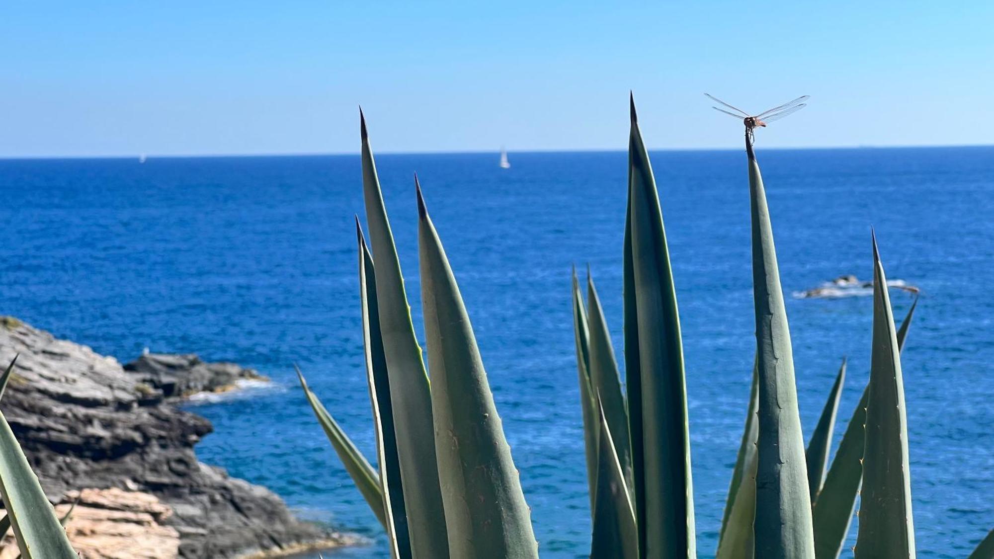 Punta Prima - Sun & Beach & Golf & Bike - Spanish South-Facing Terrace Apartment - La Recoleta - By The Sea Torrevieja Bagian luar foto