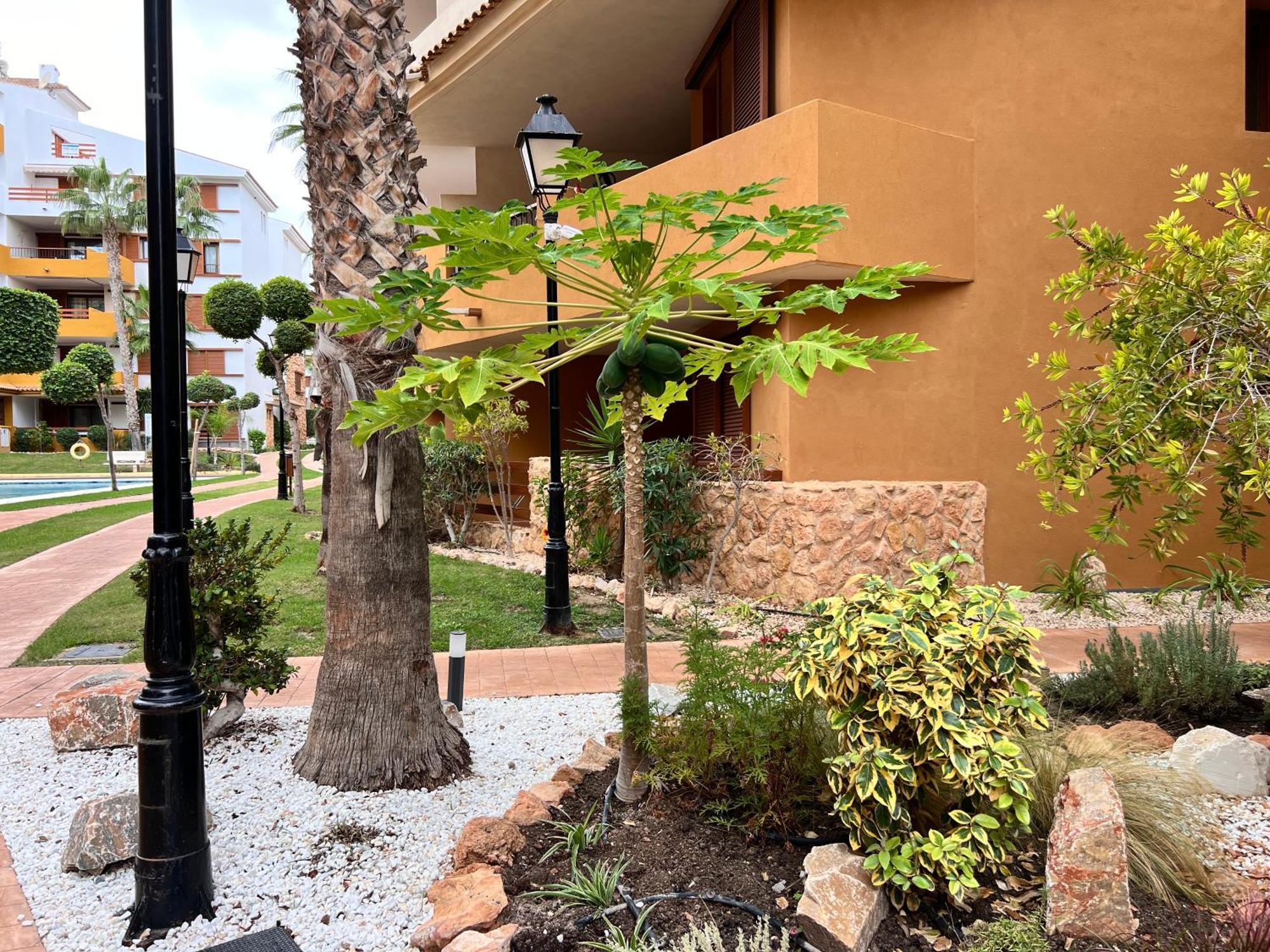Punta Prima - Sun & Beach & Golf & Bike - Spanish South-Facing Terrace Apartment - La Recoleta - By The Sea Torrevieja Bagian luar foto
